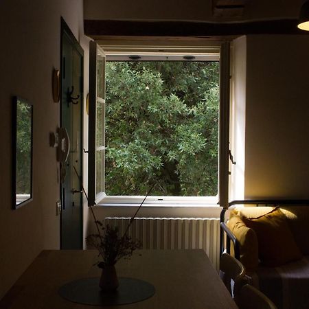 La Finestra Sul Parco Appartement Lucca Buitenkant foto