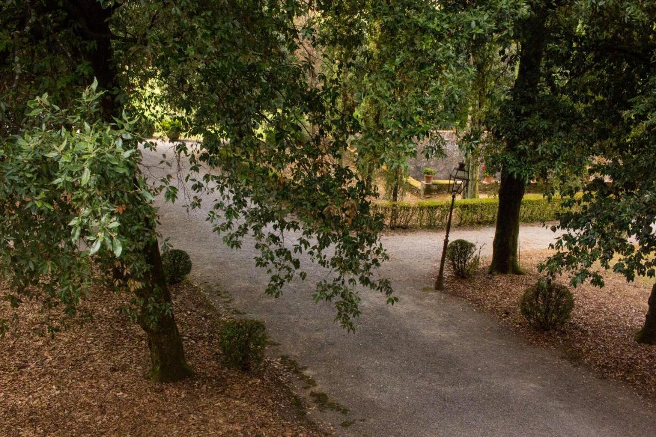 La Finestra Sul Parco Appartement Lucca Buitenkant foto